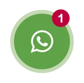 WhatsApp Bruno Soares